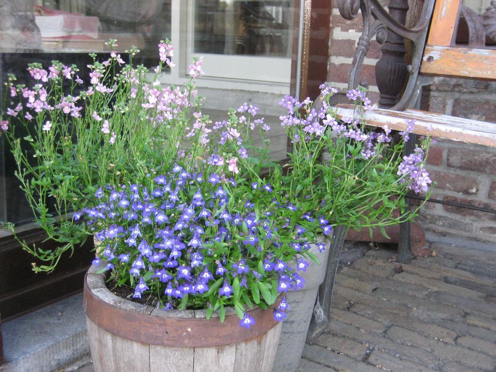 B&B Huize Bex Neerpelt Exterior foto